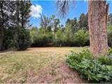 1950 Edgewood Dr - Photo 34