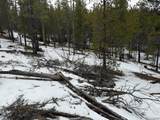 124 Lodgepole Dr - Photo 3