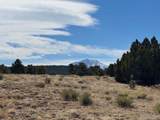 29 Orlando's Way - Photo 14