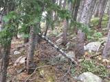 Nebraska Circle - Photo 13