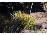 67 Alta Mesa Dr - Photo 23