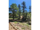102 Kevin Dr - Photo 13