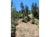 102 Kevin Dr - Photo 14