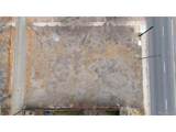 1901 38th Ave - Photo 9