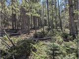 2452 Petito Dr - Photo 4