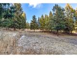  Mountain Ranch Rd - Photo 11