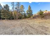  Mountain Ranch Rd - Photo 13