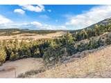  Mountain Ranch Rd - Photo 9