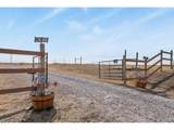26846 Richards Cir - Photo 24