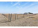 26846 Richards Cir - Photo 44