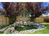 11731 Riverdale Dr - Photo 46