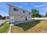 3251 Tamarac Ln - Photo 29
