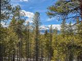 483 Mt Massive Rd - Photo 1