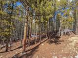 483 Mt Massive Rd - Photo 3