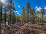 483 Mt Massive Rd - Photo 4
