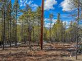483 Mt Massive Rd - Photo 6