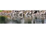 13902 Marina Dr - Photo 40