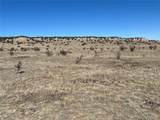 53 Horse Creek Rd - Photo 11