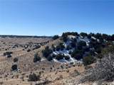 53 Horse Creek Rd - Photo 18