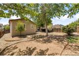 4377 Crow Creek Dr - Photo 44