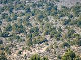 0 Sanchez Reservoir Rd - Photo 12