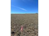 2418 Goldenburg Canyon Rd - Photo 4