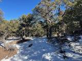 7898 Tiernan Rd - Photo 12