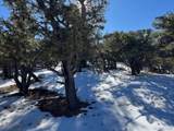 7898 Tiernan Rd - Photo 14