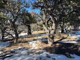 7898 Tiernan Rd - Photo 18