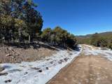 7898 Tiernan Rd - Photo 21