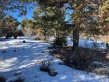 7898 Tiernan Rd - Photo 3