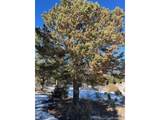 7898 Tiernan Rd - Photo 4