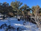7898 Tiernan Rd - Photo 6