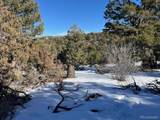 7898 Tiernan Rd - Photo 8