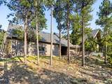 32142 Black Widow Dr - Photo 10