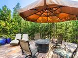 32142 Black Widow Dr - Photo 12