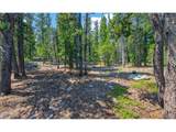 914 Dory Lakes Dr - Photo 46