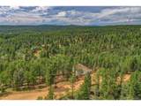 449 Woody Creek Rd - Photo 1