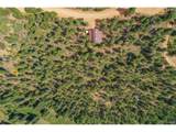 449 Woody Creek Rd - Photo 19