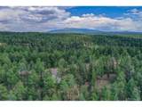 449 Woody Creek Rd - Photo 24