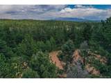 449 Woody Creek Rd - Photo 3