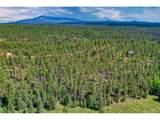 449 Woody Creek Rd - Photo 4