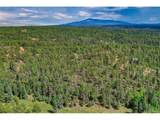 449 Woody Creek Rd - Photo 5