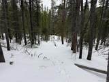 2806 Moir Dr - Photo 1