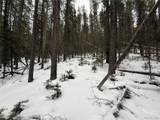 2806 Moir Dr - Photo 8