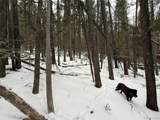 2806 Moir Dr - Photo 9
