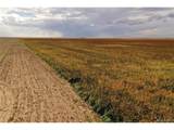  County Road 21 - Photo 2