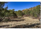 14633 Rancho Verde Rd - Photo 10
