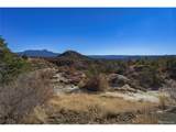 14633 Rancho Verde Rd - Photo 19