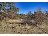 14633 Rancho Verde Rd - Photo 20